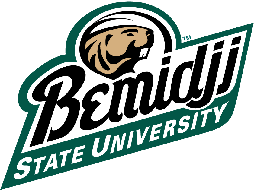 Bemidji State Beavers 2004-Pres Alternate Logo diy iron on heat transfer